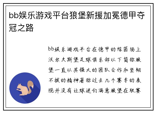 bb娱乐游戏平台狼堡新援加冕德甲夺冠之路